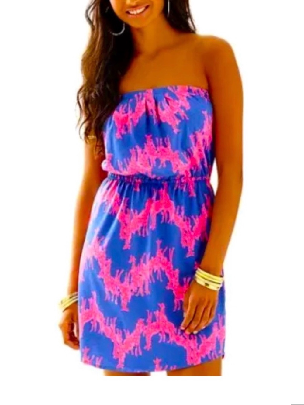 Lilly Pulitzer Windsor Dress Iris Blue Neck in Neck XS